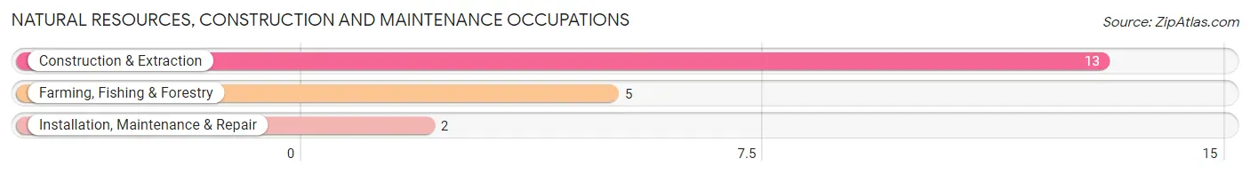 Natural Resources, Construction and Maintenance Occupations in Zip Code 99335