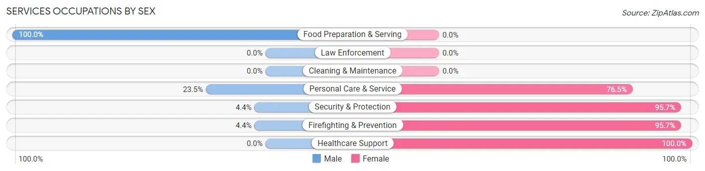 Services Occupations by Sex in Zip Code 99343