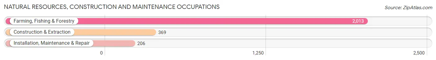 Natural Resources, Construction and Maintenance Occupations in Zip Code 99344