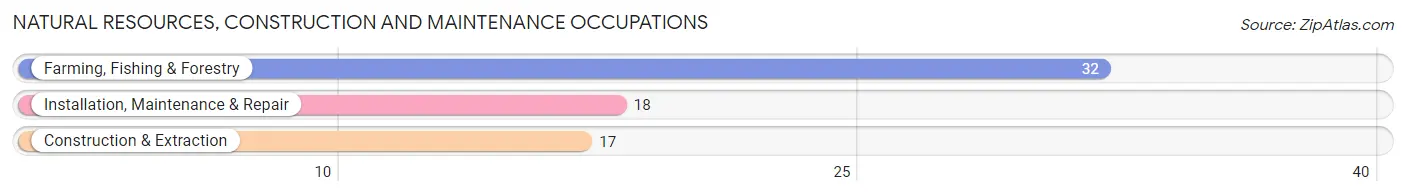 Natural Resources, Construction and Maintenance Occupations in Zip Code 99402