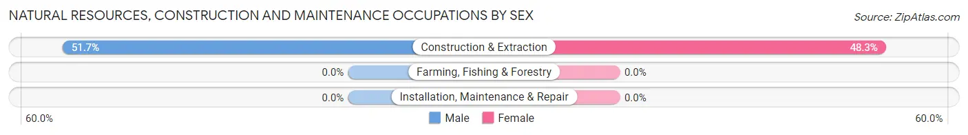 Natural Resources, Construction and Maintenance Occupations by Sex in Zip Code 99505
