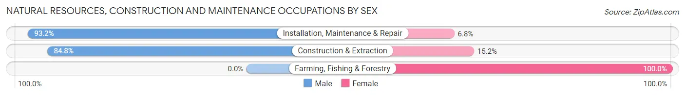 Natural Resources, Construction and Maintenance Occupations by Sex in Zip Code 99516
