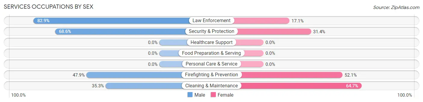 Services Occupations by Sex in Zip Code 99519