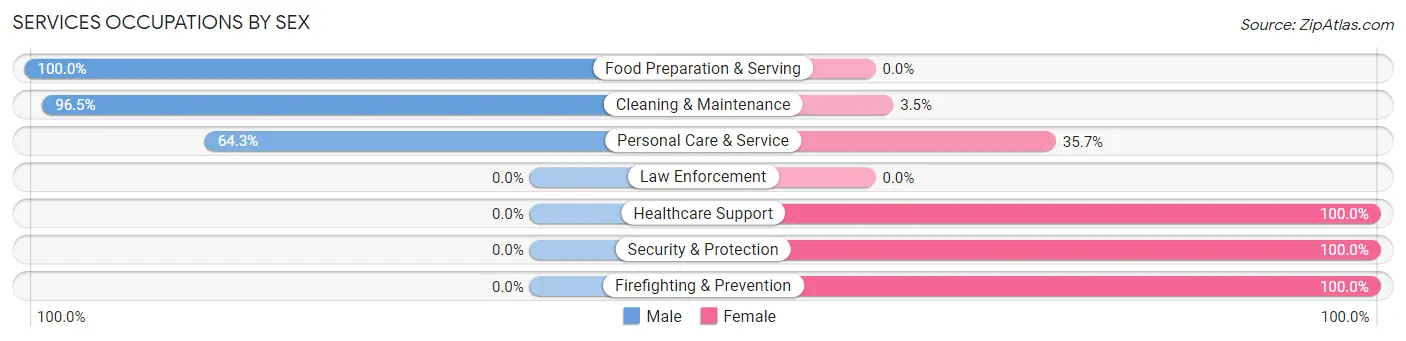 Services Occupations by Sex in Zip Code 99553