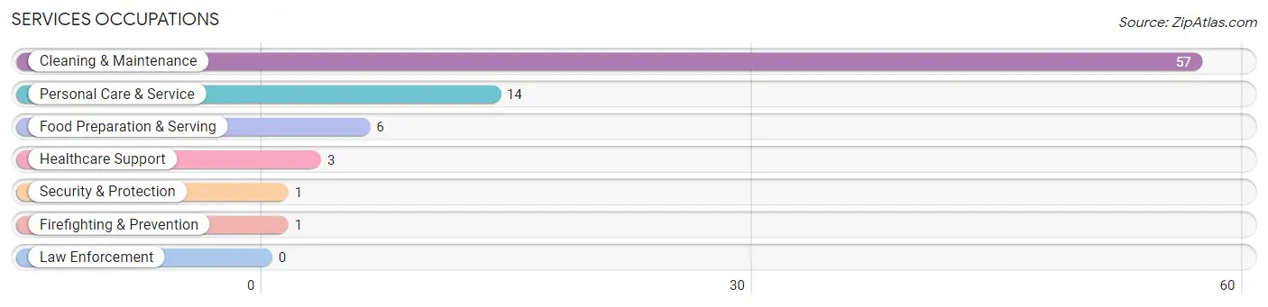 Services Occupations in Zip Code 99553