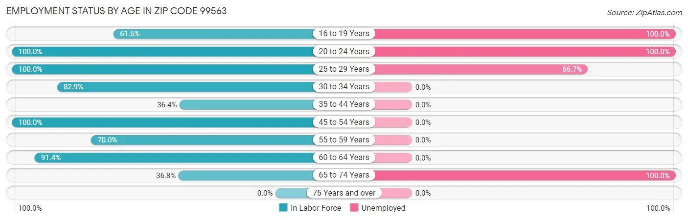 Employment Status by Age in Zip Code 99563