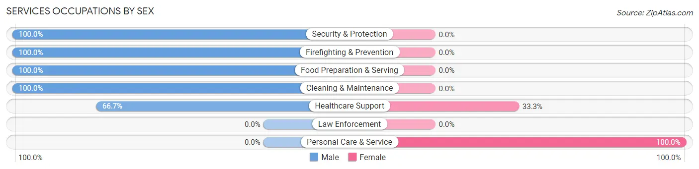 Services Occupations by Sex in Zip Code 99573