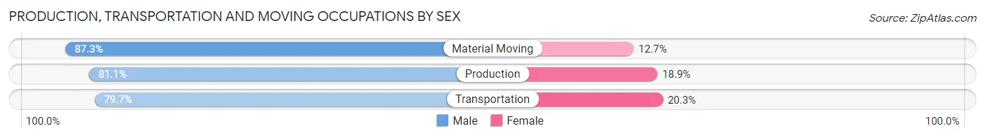 Production, Transportation and Moving Occupations by Sex in Zip Code 99603