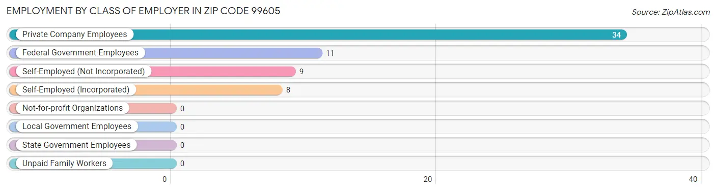 Employment by Class of Employer in Zip Code 99605