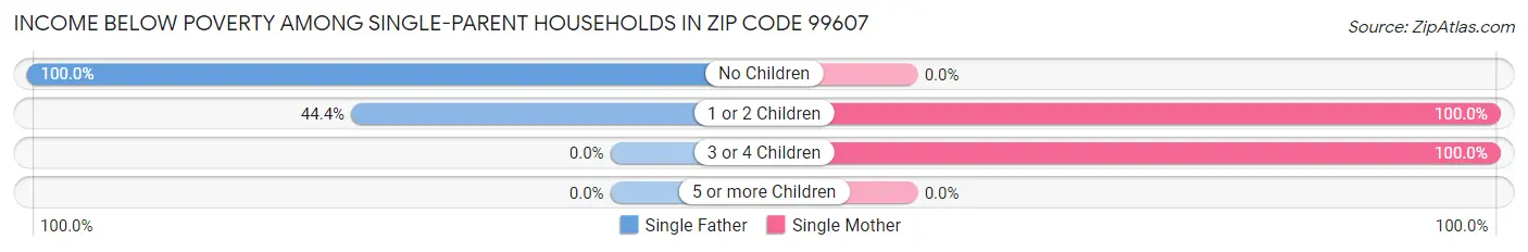 Income Below Poverty Among Single-Parent Households in Zip Code 99607