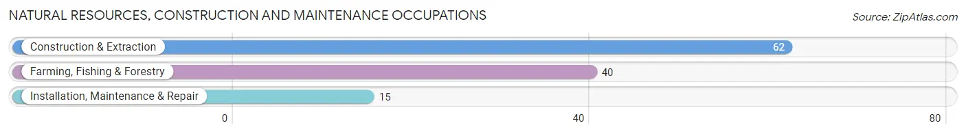 Natural Resources, Construction and Maintenance Occupations in Zip Code 99612