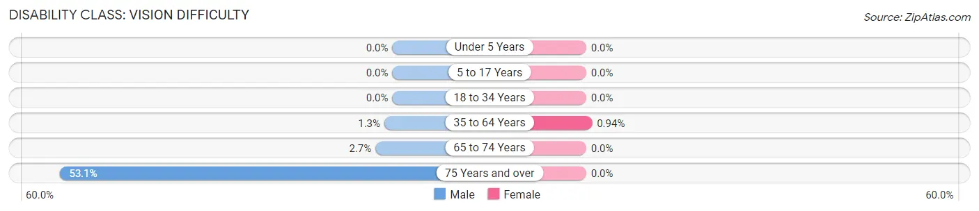 Disability in Zip Code 99612: <span>Vision Difficulty</span>