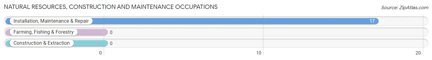 Natural Resources, Construction and Maintenance Occupations in Zip Code 99632