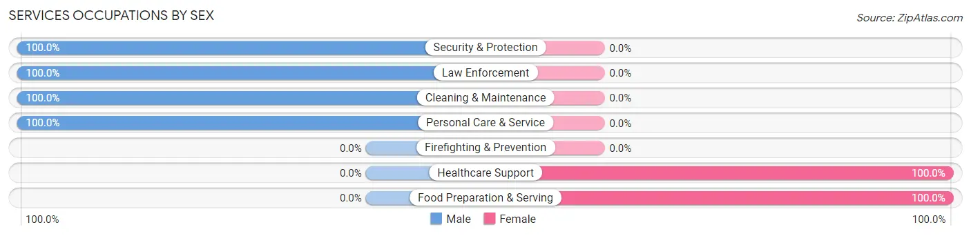 Services Occupations by Sex in Zip Code 99636