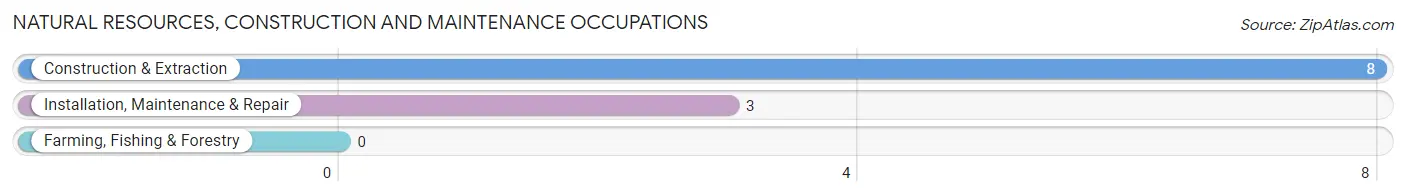 Natural Resources, Construction and Maintenance Occupations in Zip Code 99641