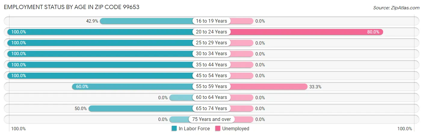 Employment Status by Age in Zip Code 99653