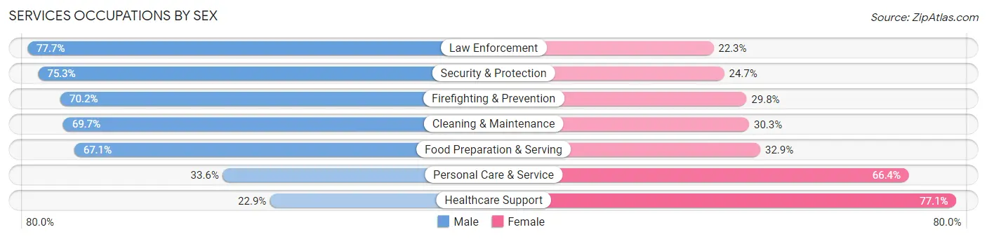 Services Occupations by Sex in Zip Code 99669