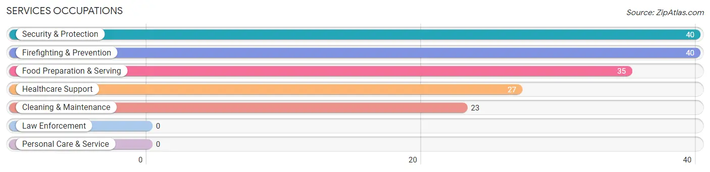 Services Occupations in Zip Code 99672