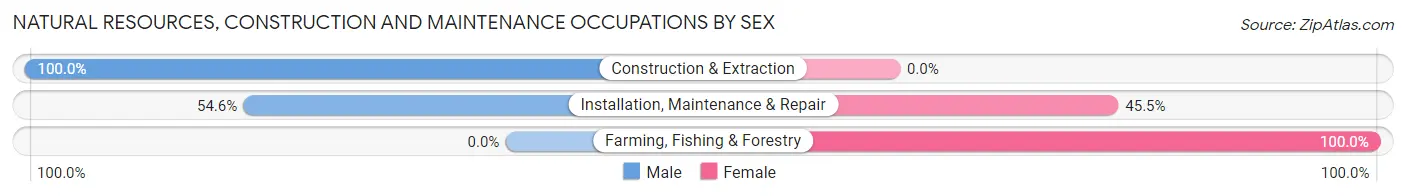 Natural Resources, Construction and Maintenance Occupations by Sex in Zip Code 99676