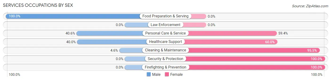 Services Occupations by Sex in Zip Code 99676