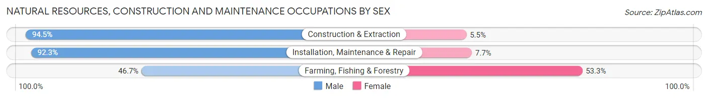 Natural Resources, Construction and Maintenance Occupations by Sex in Zip Code 99688