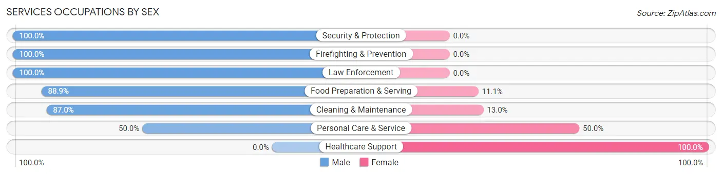 Services Occupations by Sex in Zip Code 99689