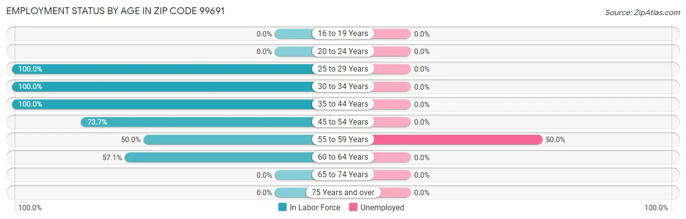 Employment Status by Age in Zip Code 99691