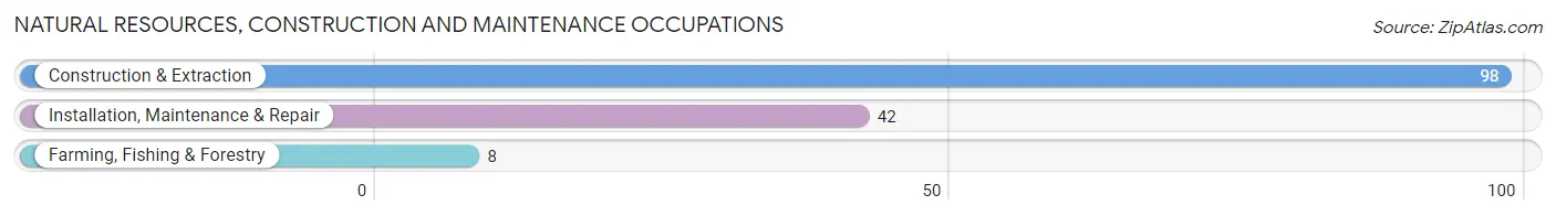 Natural Resources, Construction and Maintenance Occupations in Zip Code 99694