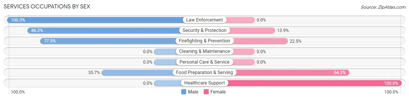 Services Occupations by Sex in Zip Code 99702