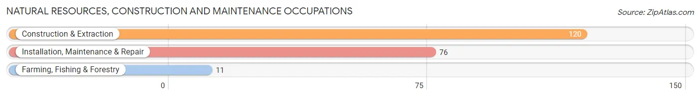 Natural Resources, Construction and Maintenance Occupations in Zip Code 99723