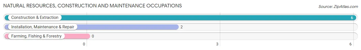 Natural Resources, Construction and Maintenance Occupations in Zip Code 99729