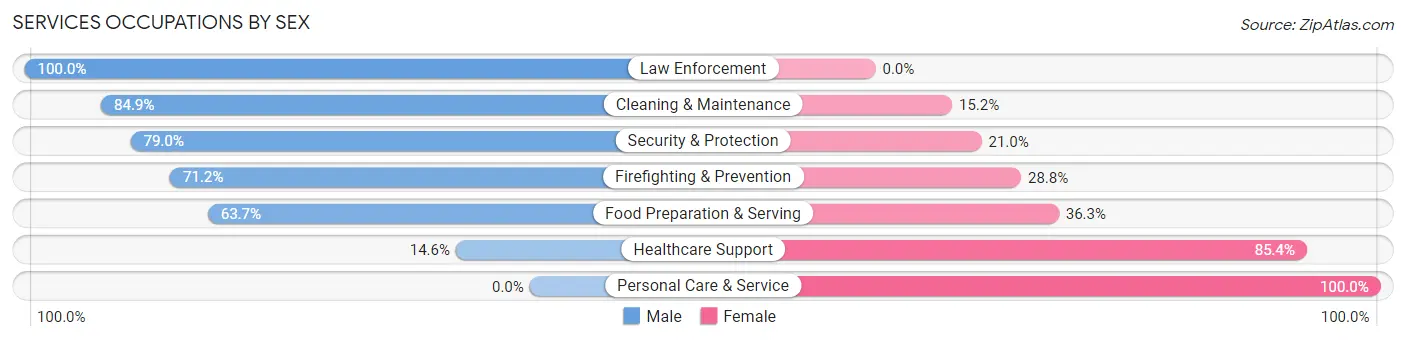 Services Occupations by Sex in Zip Code 99737