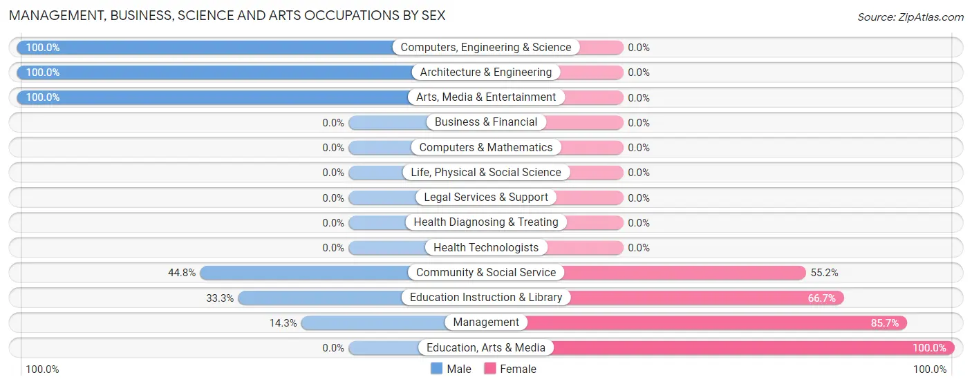 Management, Business, Science and Arts Occupations by Sex in Zip Code 99742