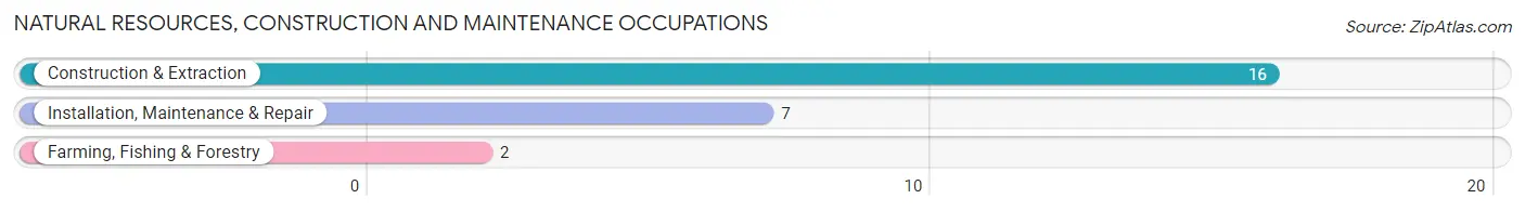 Natural Resources, Construction and Maintenance Occupations in Zip Code 99761