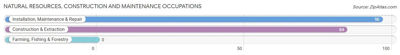 Natural Resources, Construction and Maintenance Occupations in Zip Code 99762