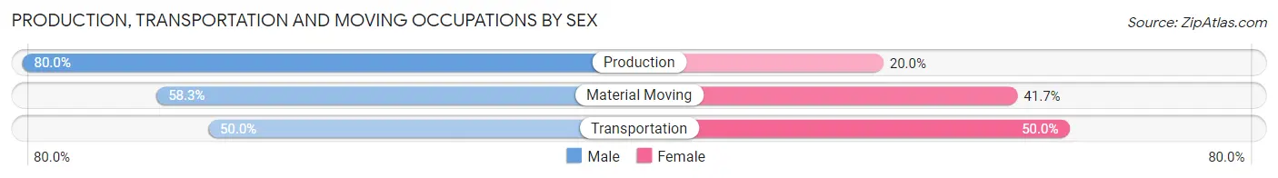 Production, Transportation and Moving Occupations by Sex in Zip Code 99782