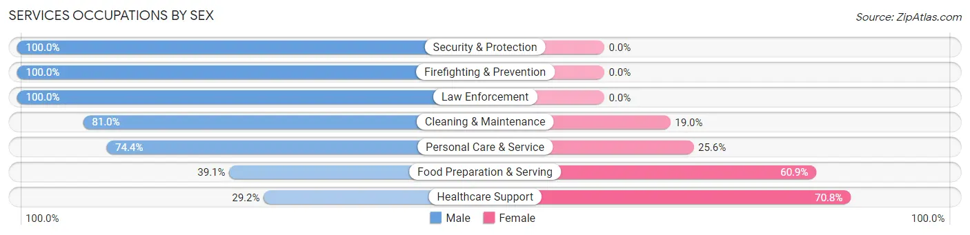 Services Occupations by Sex in Zip Code 99824