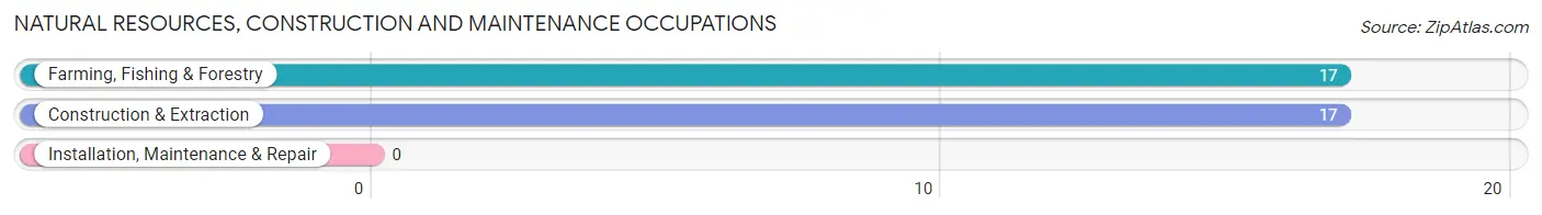 Natural Resources, Construction and Maintenance Occupations in Zip Code 99829