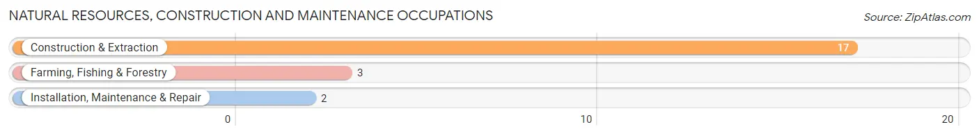 Natural Resources, Construction and Maintenance Occupations in Zip Code 99841