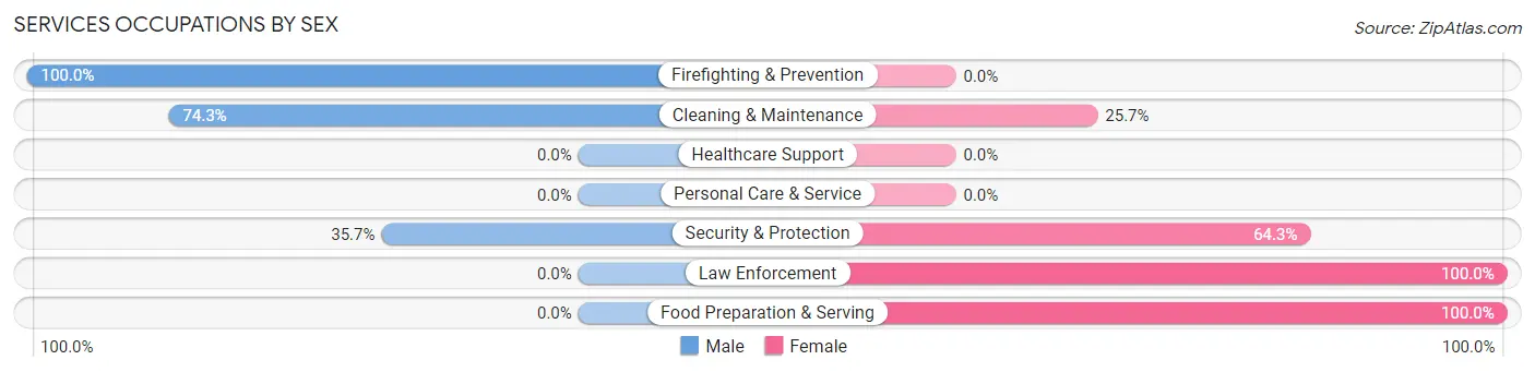 Services Occupations by Sex in Zip Code 99919