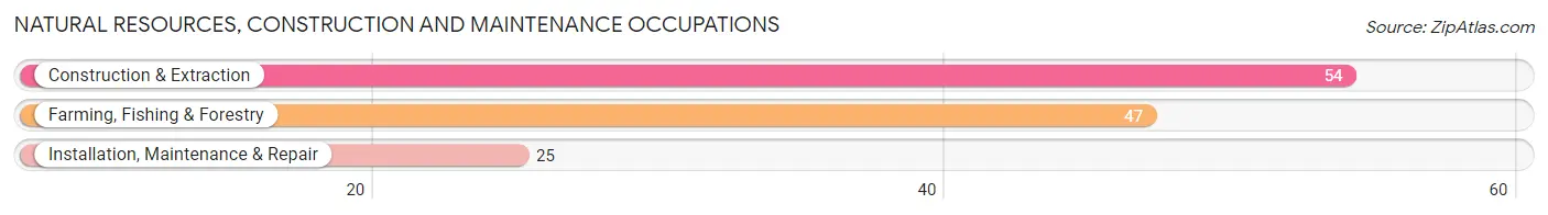 Natural Resources, Construction and Maintenance Occupations in Zip Code 99929