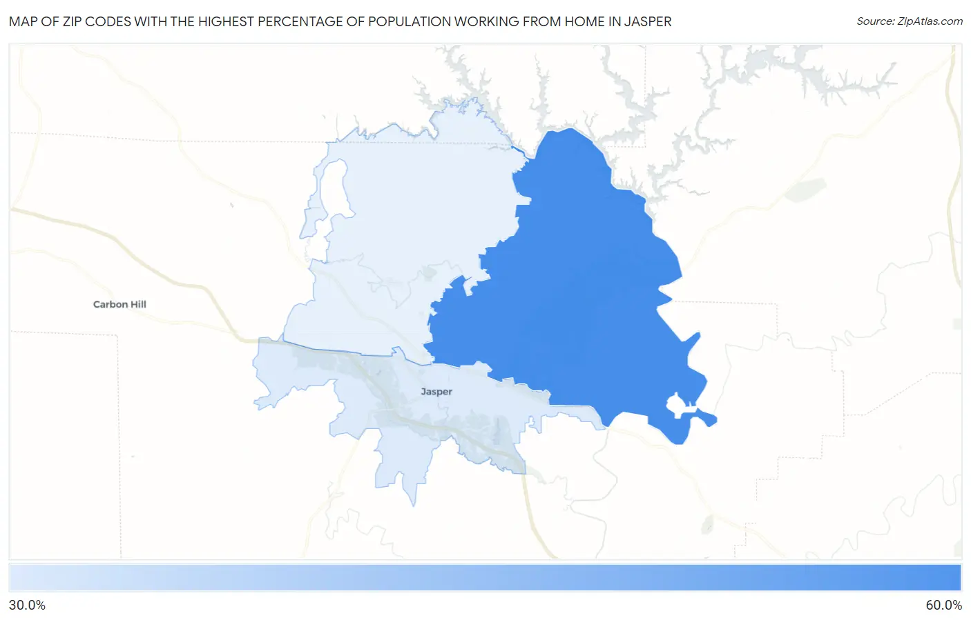 Zip Codes with the Highest Percentage of Population Working from Home in Jasper Map