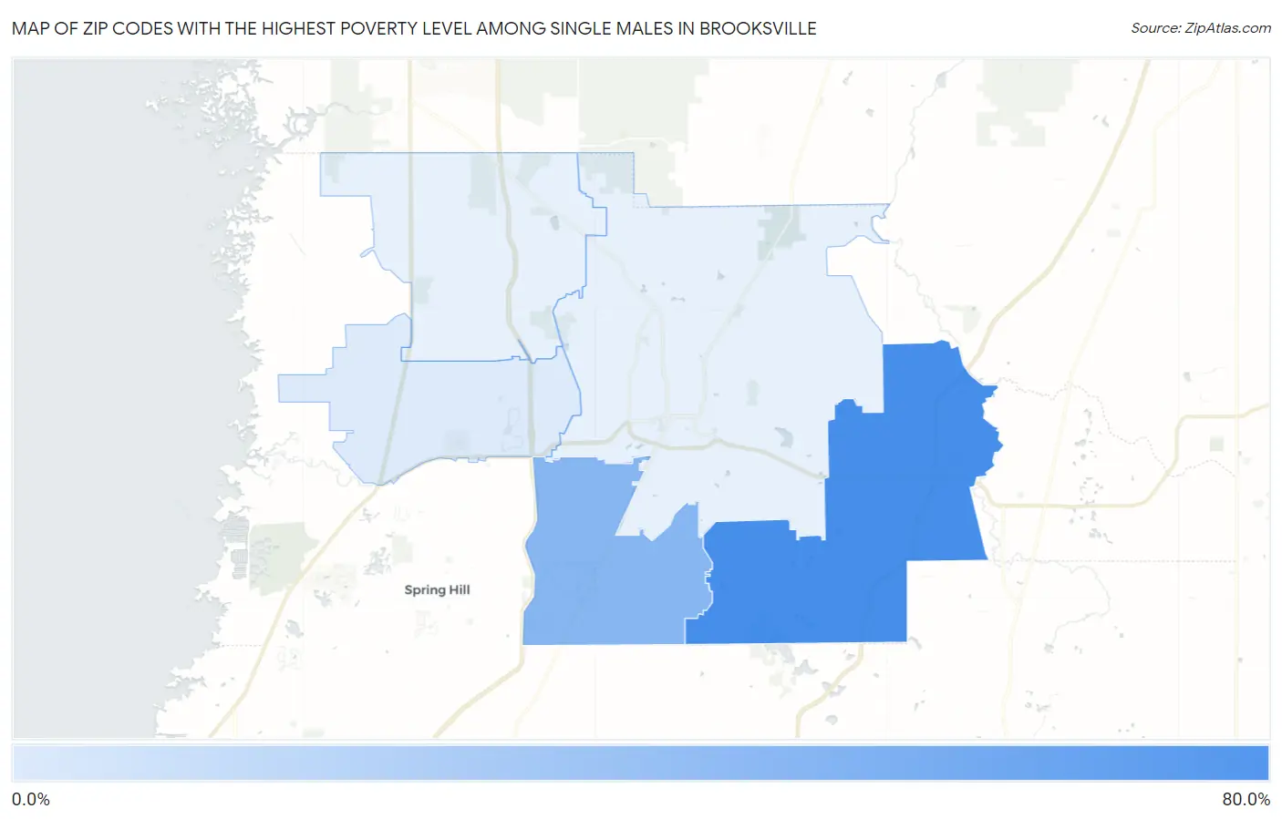 Zip Codes with the Highest Poverty Level Among Single Males in Brooksville Map