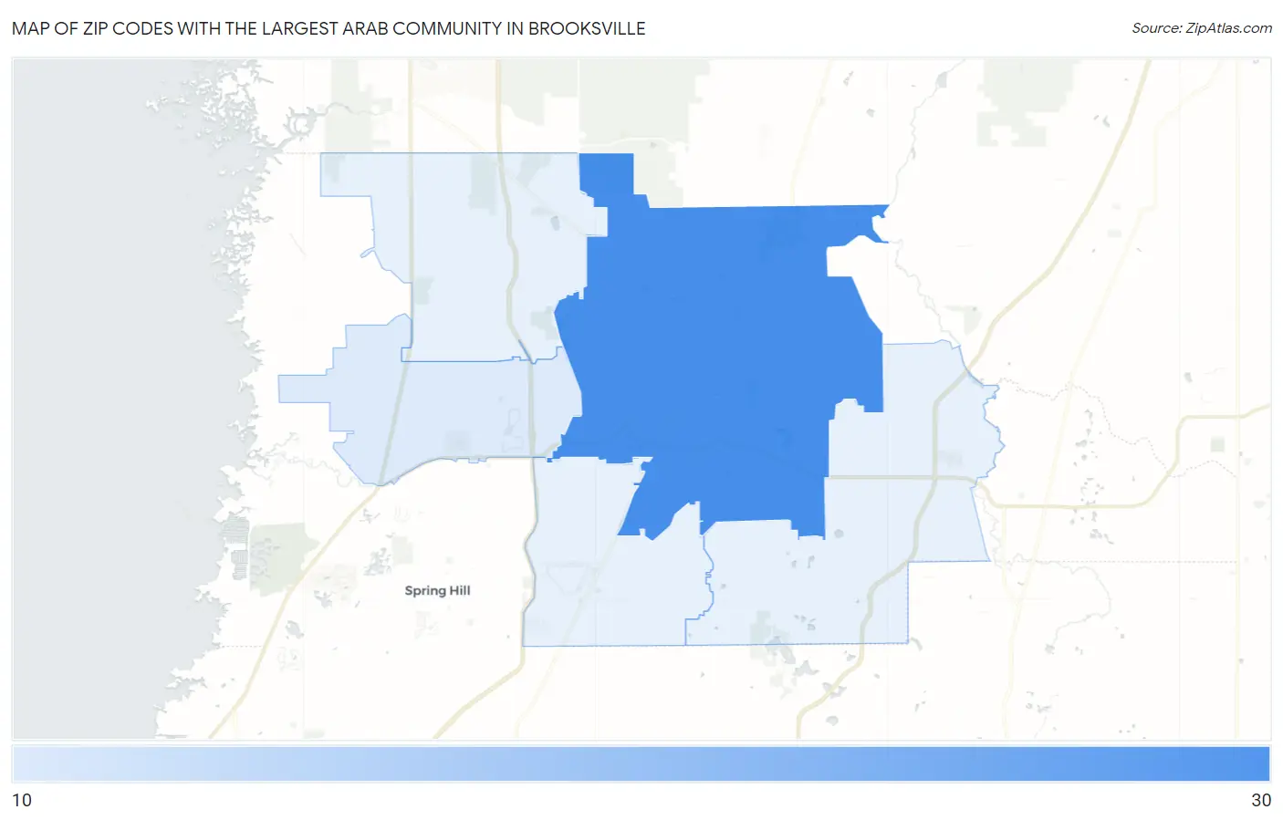 Zip Codes with the Largest Arab Community in Brooksville Map