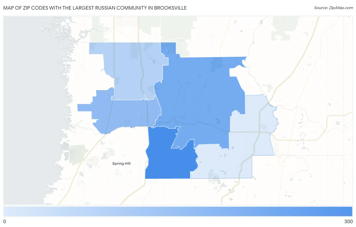 Zip Codes with the Largest Russian Community in Brooksville Map