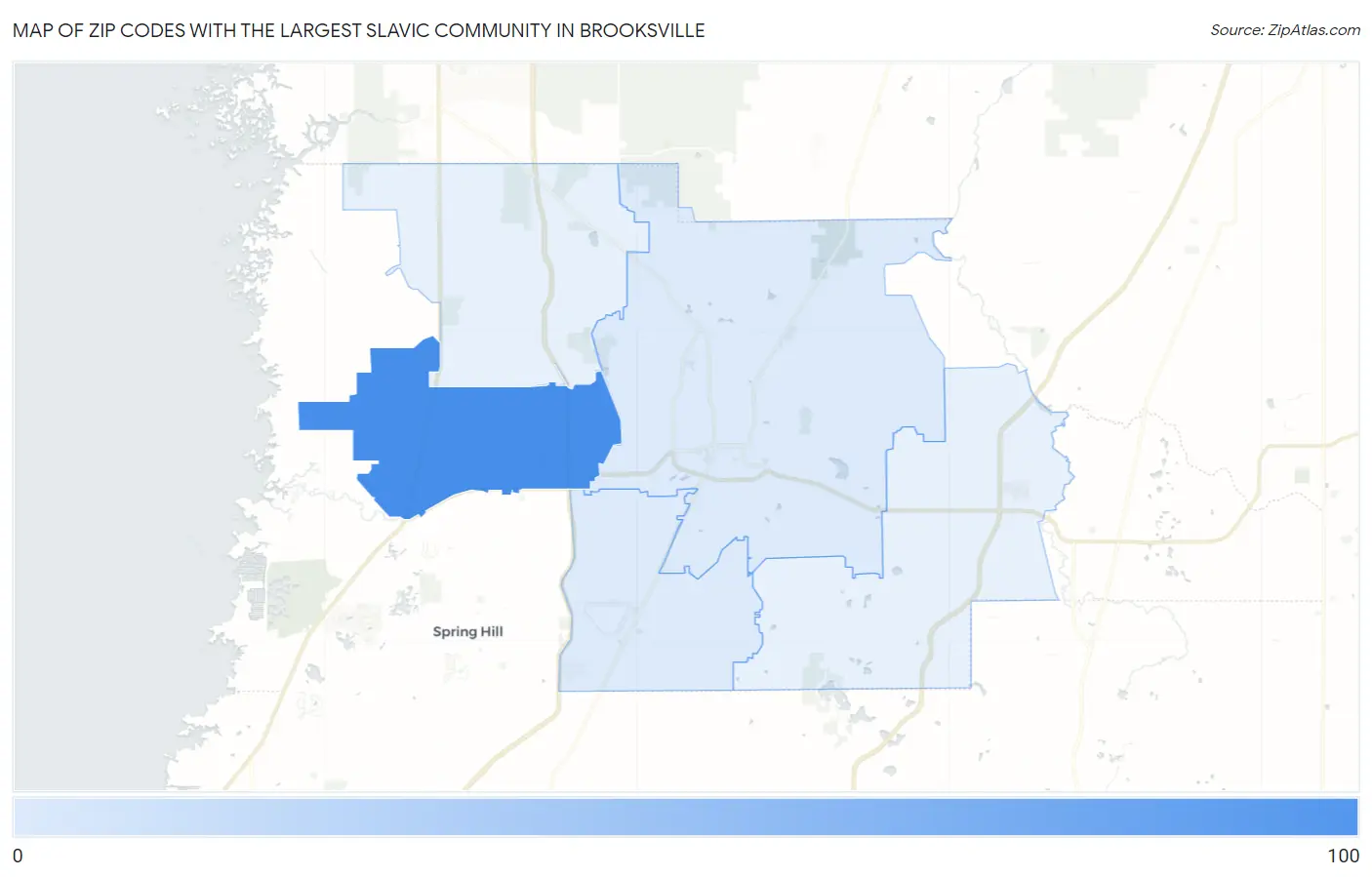 Zip Codes with the Largest Slavic Community in Brooksville Map