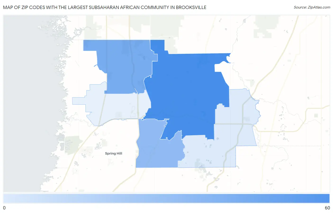 Zip Codes with the Largest Subsaharan African Community in Brooksville Map