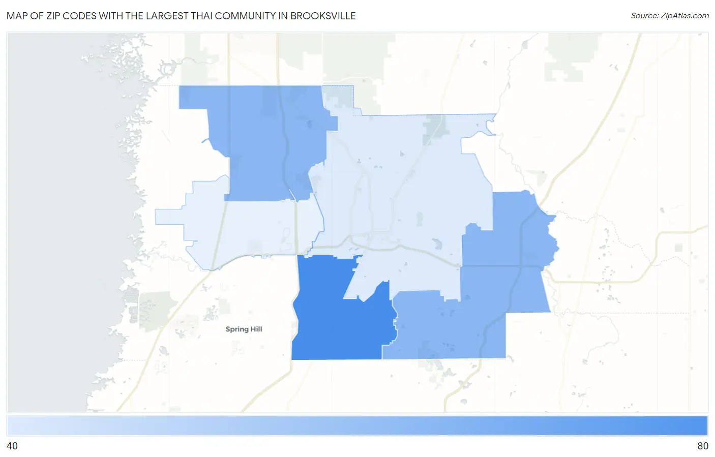 Zip Codes with the Largest Thai Community in Brooksville Map