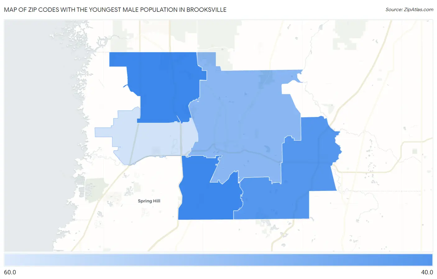 Zip Codes with the Youngest Male Population in Brooksville Map