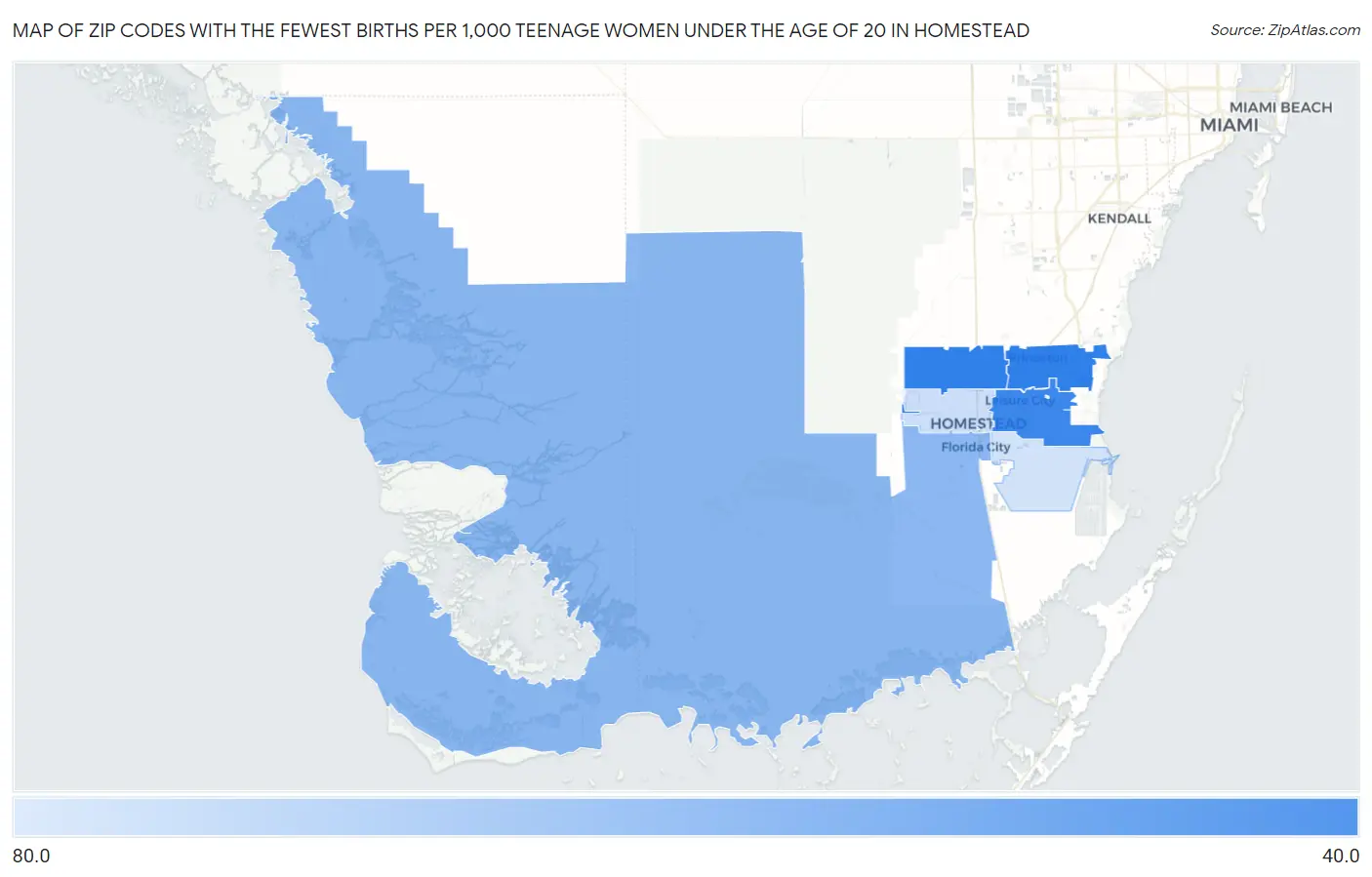 Zip Codes with the Fewest Births per 1,000 Teenage Women Under the Age of 20 in Homestead Map